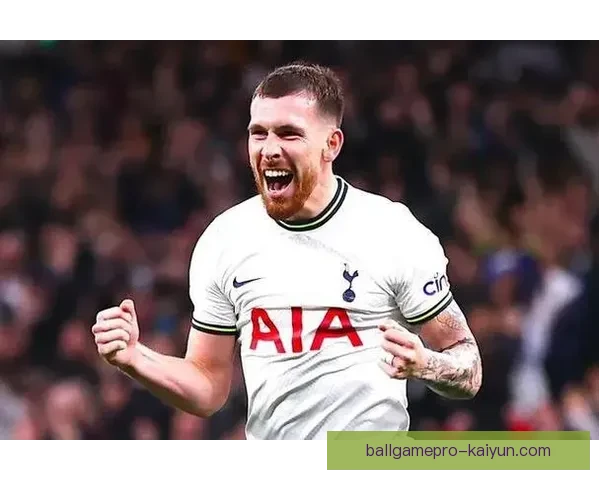 霍伊别尔进攻参与数据分析，状态稳健值得关注